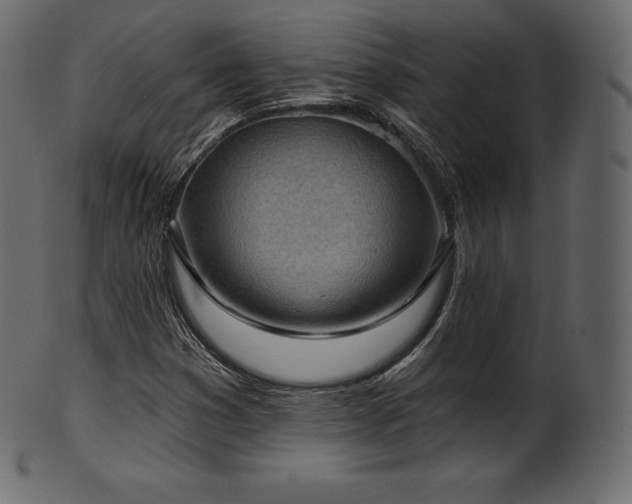 X0000102021353200807181317