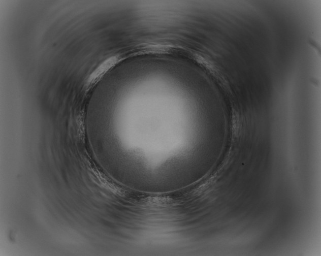 X0000102021354200807181317