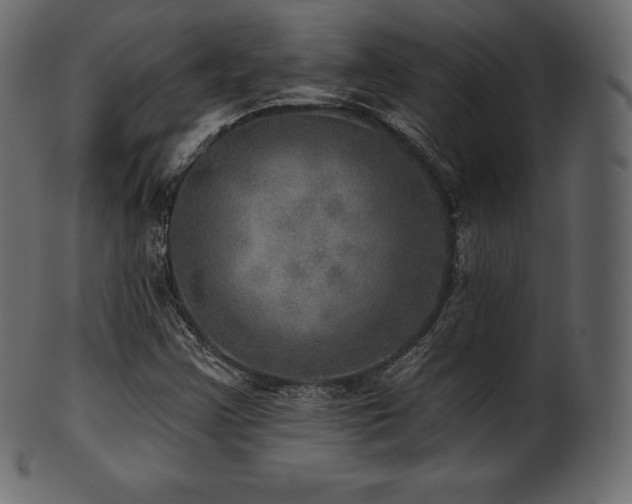 X0000102021355200807181317