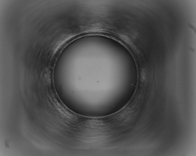 X0000102021356200807181317