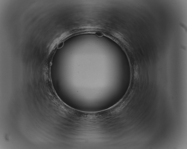 X0000102021357200807181317