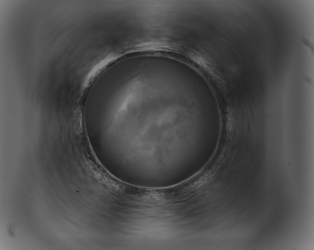 X0000102021358200807181317