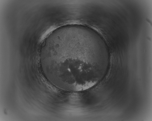 X0000102021359200807181317