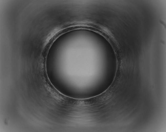 X0000102021360200807181317