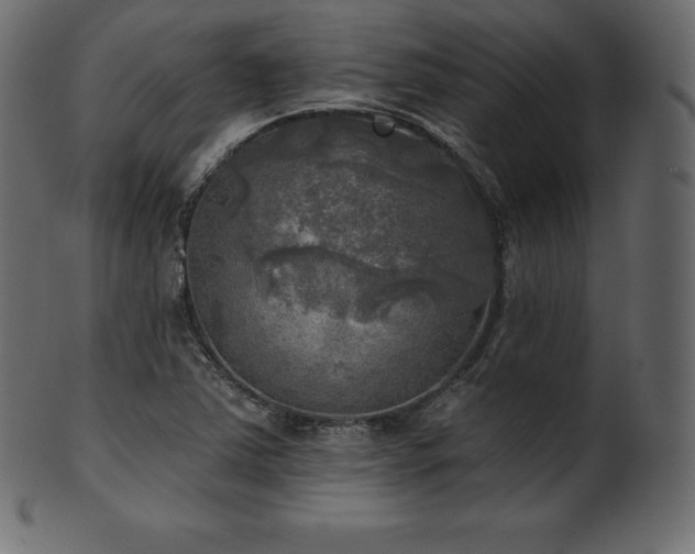 X0000102021363200807181316