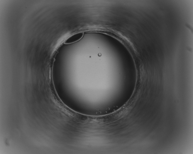 X0000102021365200807181316