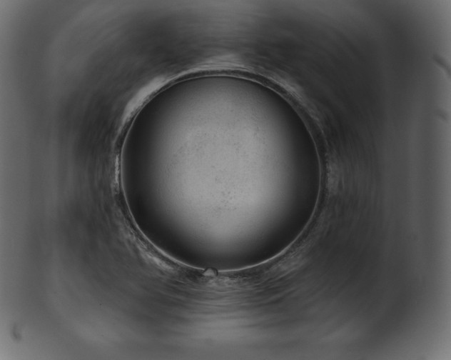 X0000102021366200807181316