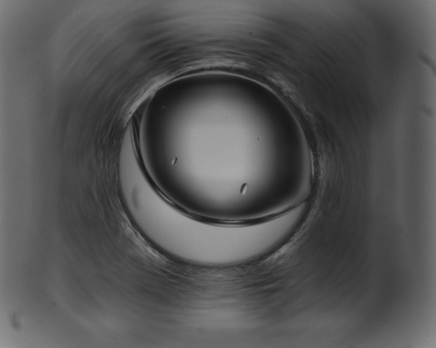 X0000102021369200807181316