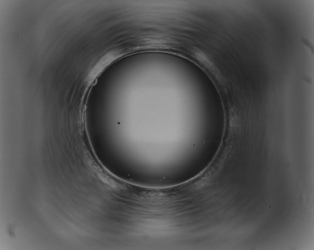 X0000102021370200807181316