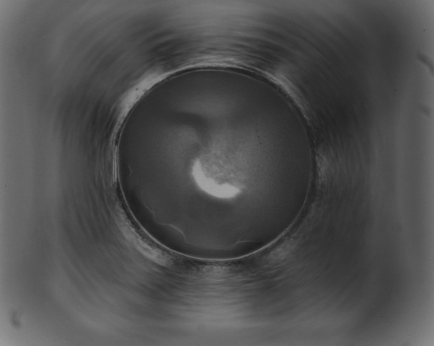 X0000102021371200807181316