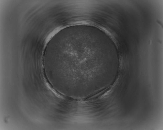 X0000102021373200807181316