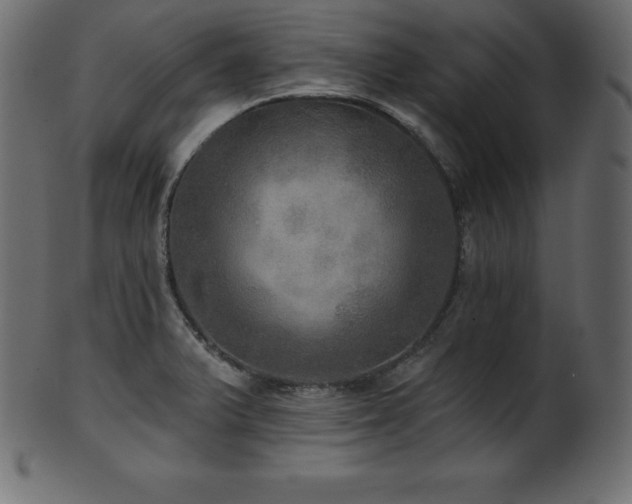 X0000102021375200807181316