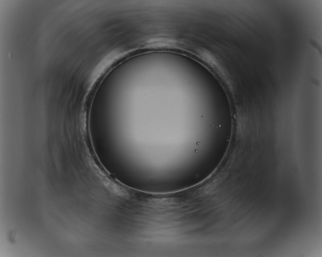 X0000102021376200807181316