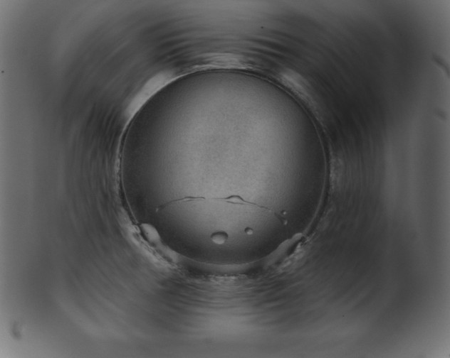 X0000102021378200807181316