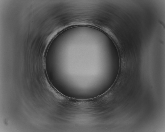 X0000102021380200807181316