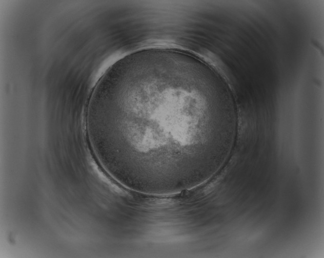 X0000102021382200807181316