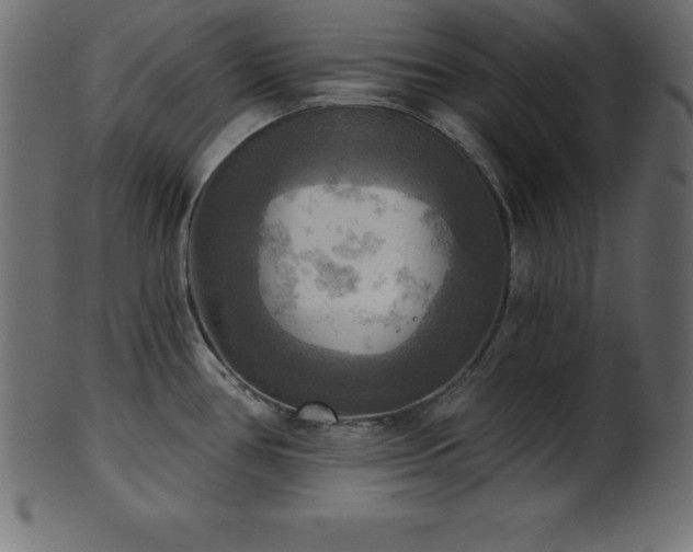 X0000102021386200807181316