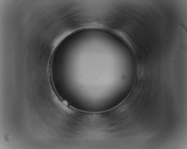 X0000102021387200807181316