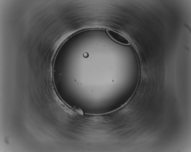 X0000102021388200807181316