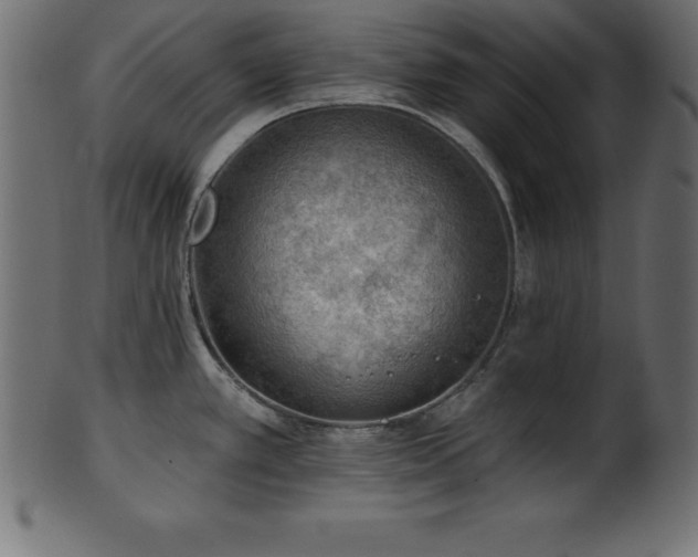 X0000102021389200807181316