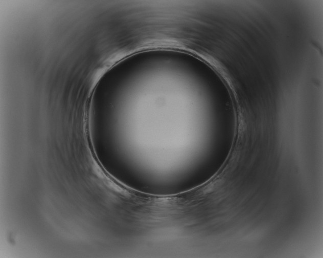 X0000102021390200807181316