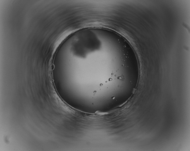 X0000102021392200807181316