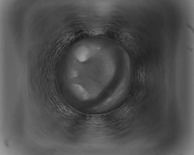 X0000102021393200807181315