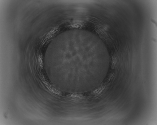 X0000102021394200807181315