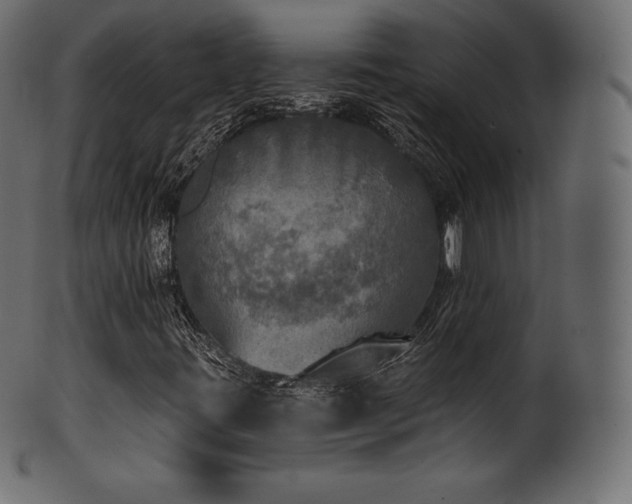 X0000102021395200807181315
