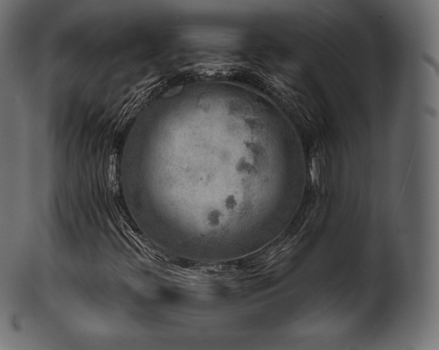 X0000102021396200807181315
