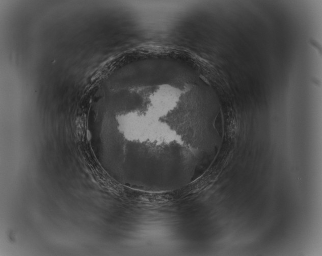 X0000102021397200807181315