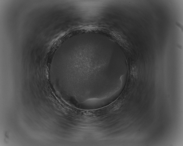 X0000102021398200807181315