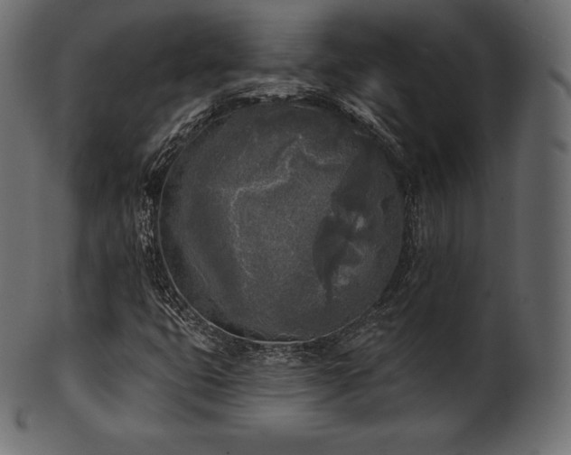 X0000102021399200807181315
