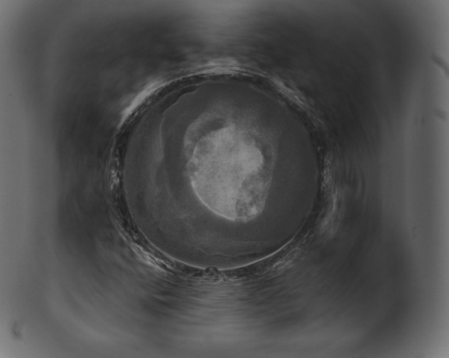 X0000102021400200807181315