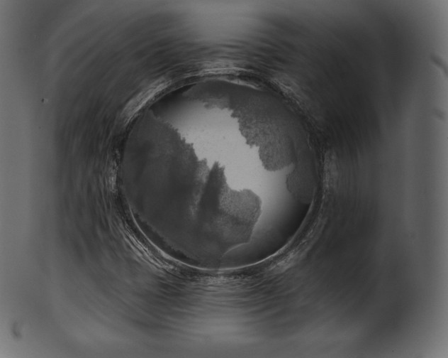 X0000102021401200807181315