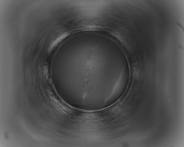 X0000102021402200807181315