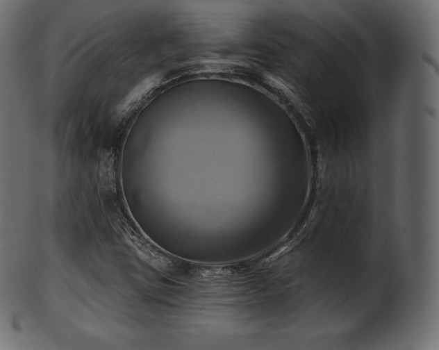 X0000102021403200807181315