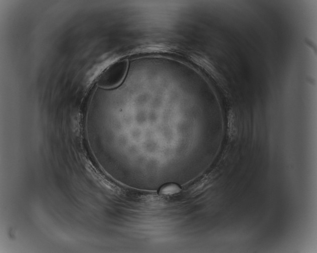 X0000102021404200807181315