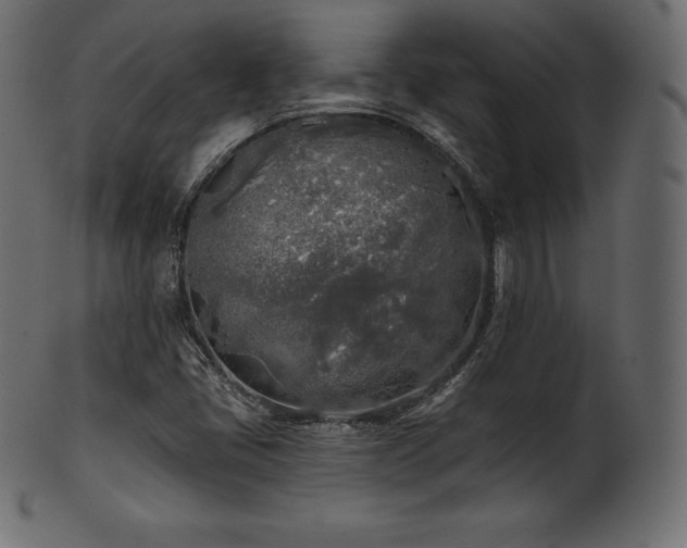 X0000102021405200807181315
