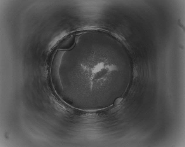 X0000102021406200807181315