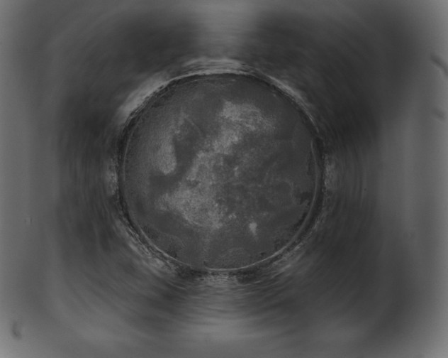 X0000102021407200807181315