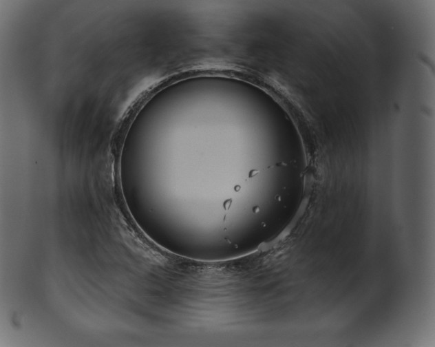 X0000102021408200807181315