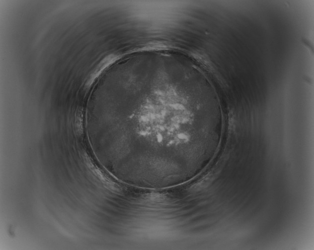 X0000102021409200807181315
