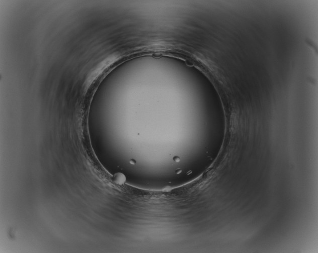 X0000102021410200807181315