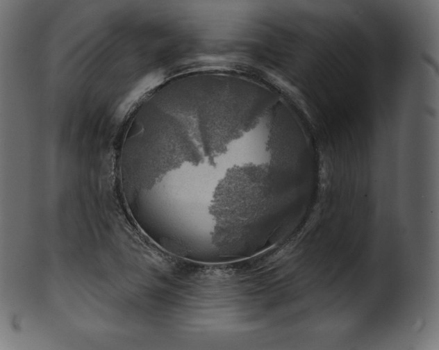 X0000102021411200807181315