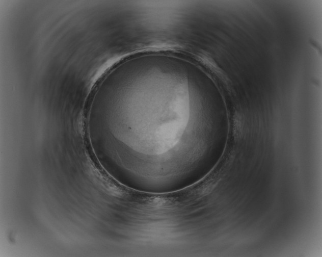 X0000102021412200807181315