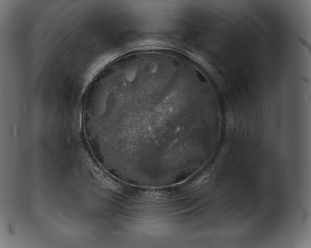 X0000102021413200807181316