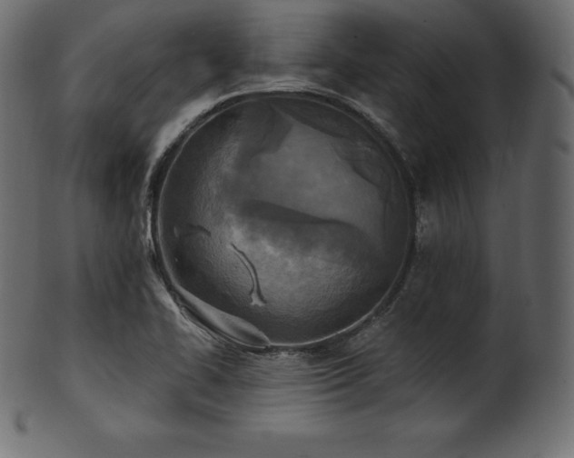 X0000102021414200807181316