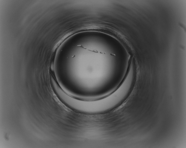 X0000102021417200807181316