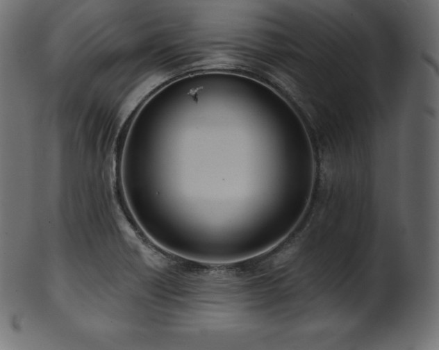 X0000102021418200807181316
